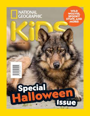 National Geographic Kids Magazine Subscription